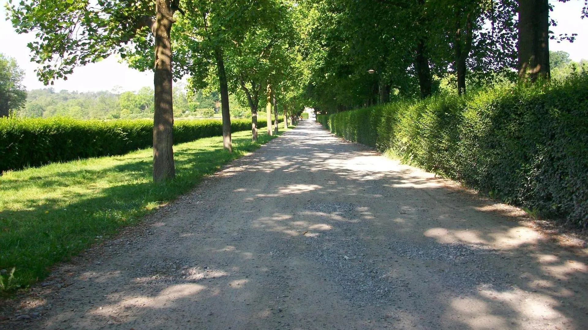 Bed & Breakfast B&B L'Albero Maestro Orsenigo Italia